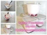 Yaourt framboise myrtille