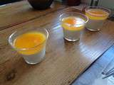 Panna cotta à l’orange