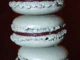 Macarons menthe chocolat