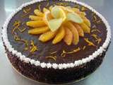 Fiches techniques : Entremets au chocolat