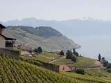 Balade dans le Lavaux – Suisse