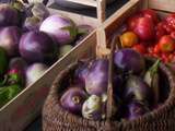 Tomates poivrons et aubergines