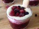 Tiramisu aux fruits rouges