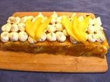 Gâteau Bûche mangue passion