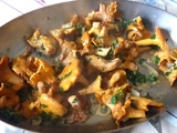 Girolles sautées à la persillade