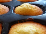 Madeleines aux agrumes