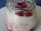Mousse de yaourt grec aux framboises