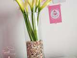 Diy #7 : Vase retour de plage…avec des coquillages