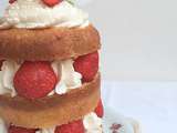 Naked Cake Fraises-Hibiscus