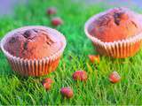 Muffins choco / noisettes (escapade en cuisine de septembre)