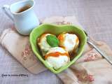 Glace au yaourt et son coulis d'abricot / Frozen yogurt ice-cream and its apricot coulis