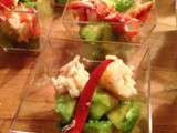 Verrines d'Avocat & Homard