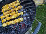 Brochettes de Poulet Citron et Curry