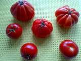 Tomates