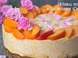 Gâteau entremet à la mousse d'abricot