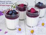 Panna cotta au lait de coco et fruits rouges