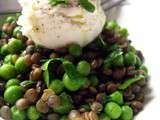 Lentilles et petits pois en salade au fromage de chèvre, une recette de Marion et Nigel Slater