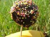 Cake pops au chocolat