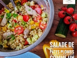 Salade de pâtes plombs comme un taboulé