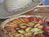 Tarte aux nectarines