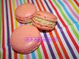 Macarons tous roses pour l'hiver