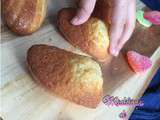 Petites Madeleines de Sophie Dudemaine