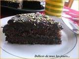 Gâteau américain au chocolat