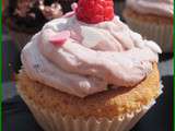 Assortiment cupcakes aux framboises et au chocolat