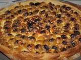 Tarte aux Mirabelles