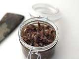 Rillettes de Confit de canard