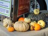 New York : Le marché fermier de Union Square (Union Square Greenmarket)