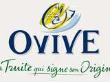 Ovive, groupe Aqualand