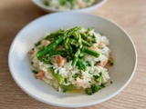 Risotto aux asperges vertes et dés de saumon fumé