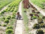 Ferme de Gally : les enfants cueillent, les papas bêchent, les mamans bronzent et tout le monde déguste