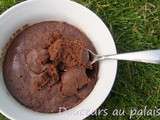 Chocolate mug cake