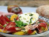 Salade de lentilles corail et burrata à l’italienne