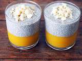 Pudding de chia