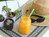 Smoothie mangue coco tropical motion