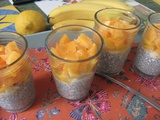 Chia pudding exotique au lait de coco