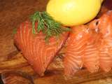 Saumon gravlax au sel saveurs fenouil basilic et a l'aneth