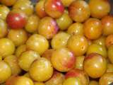 Tarte aux mirabelles sur poudre de speculoos