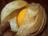 Croquants aux amandes - du pain sur la planche.....ou nourrir sa tribu