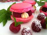 Macarons framboises chocolat blanc