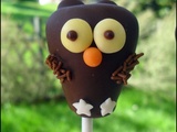 Cake Pops c'est Chouette! (ou les chouettes façon cake pops)