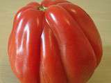 Douces tomates