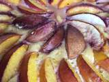 Tarte aux nectarines