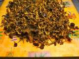 '' chanterelles '' 'Que faire un 1er novembre