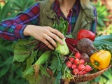 Avantages d’utiliser des ingrédients locaux et de saison pour une cuisine savoureuse et durable