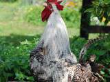 14 juillet, fête nationale et mon coq gaulois