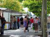 Hommes font leur marché, sont-ils apprivoisés